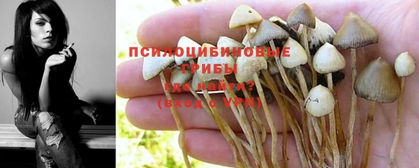дживик Бронницы