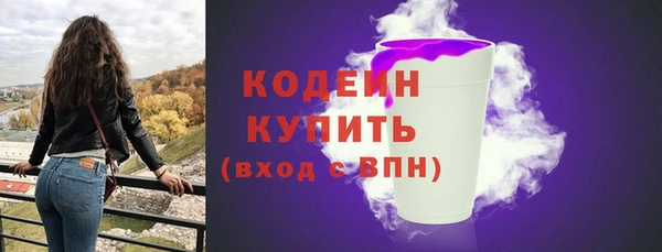 дживик Бронницы