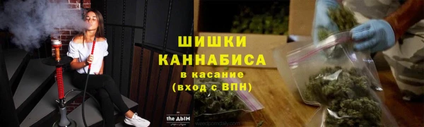 дживик Бронницы