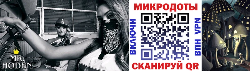 Псилоцибиновые грибы Psilocybine cubensis  цены   Городовиковск 