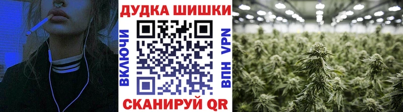 Каннабис конопля  купить наркотик  Городовиковск 